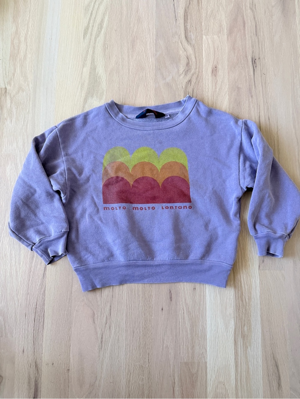 The animals observatory sweatshirt